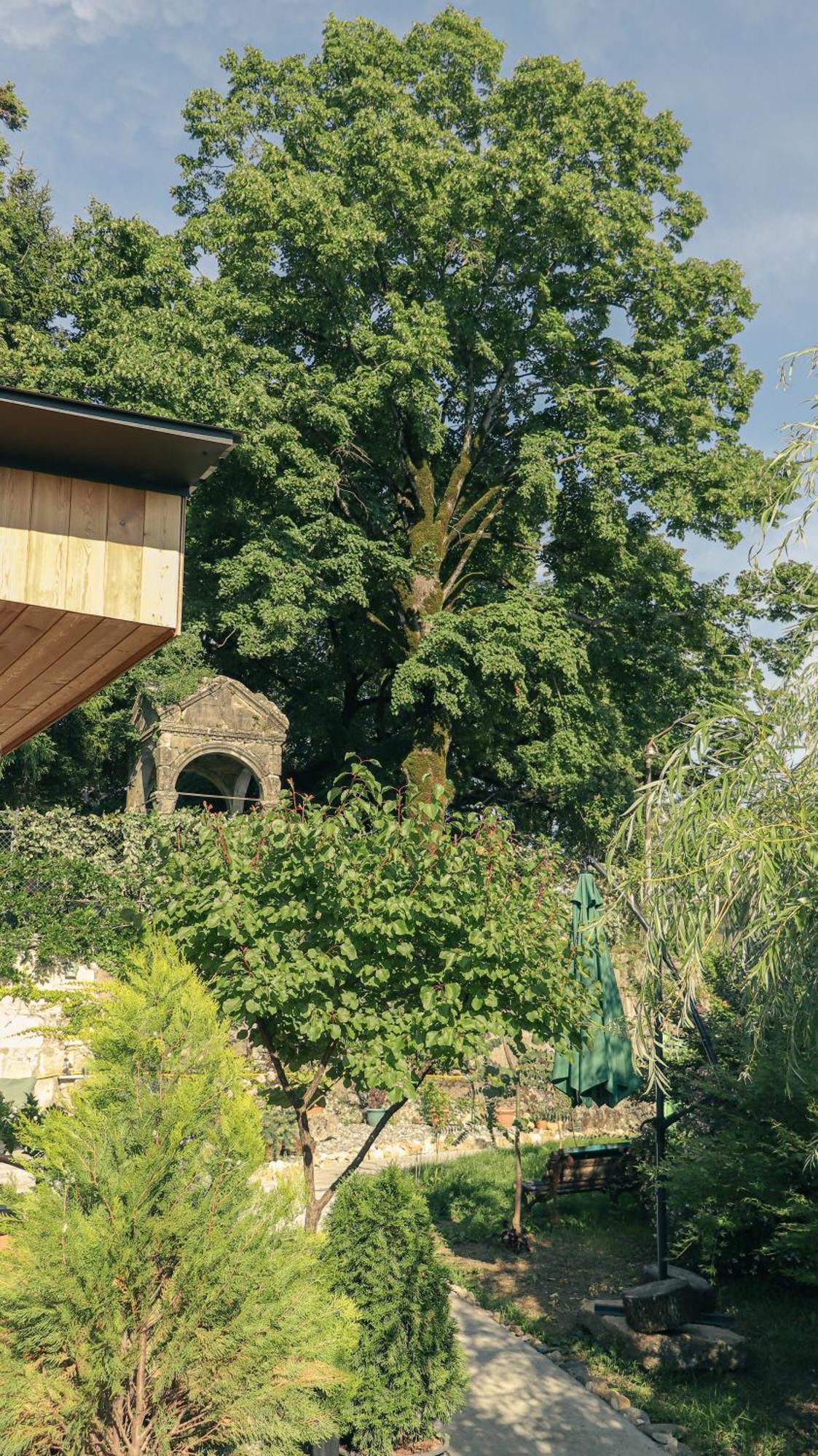 Garden Rooms In Kutaisi Ngoại thất bức ảnh